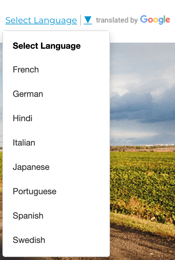 translate_widget_2.png